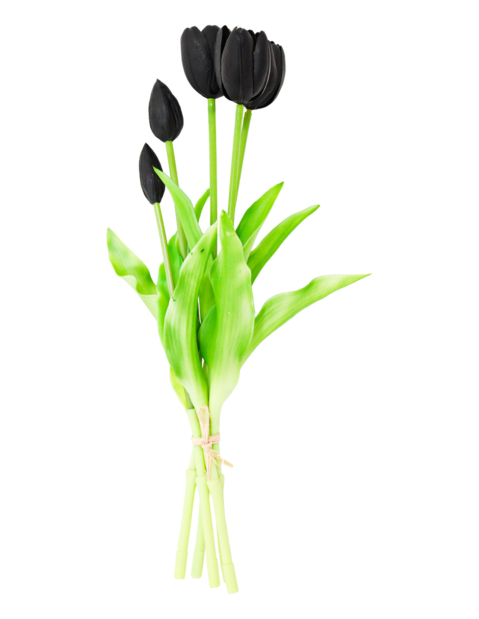 302001736061-galerias el triunfo