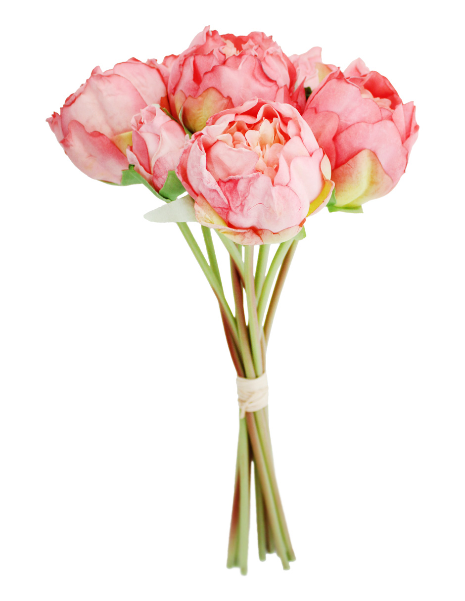 302001736082-galerias el triunfo