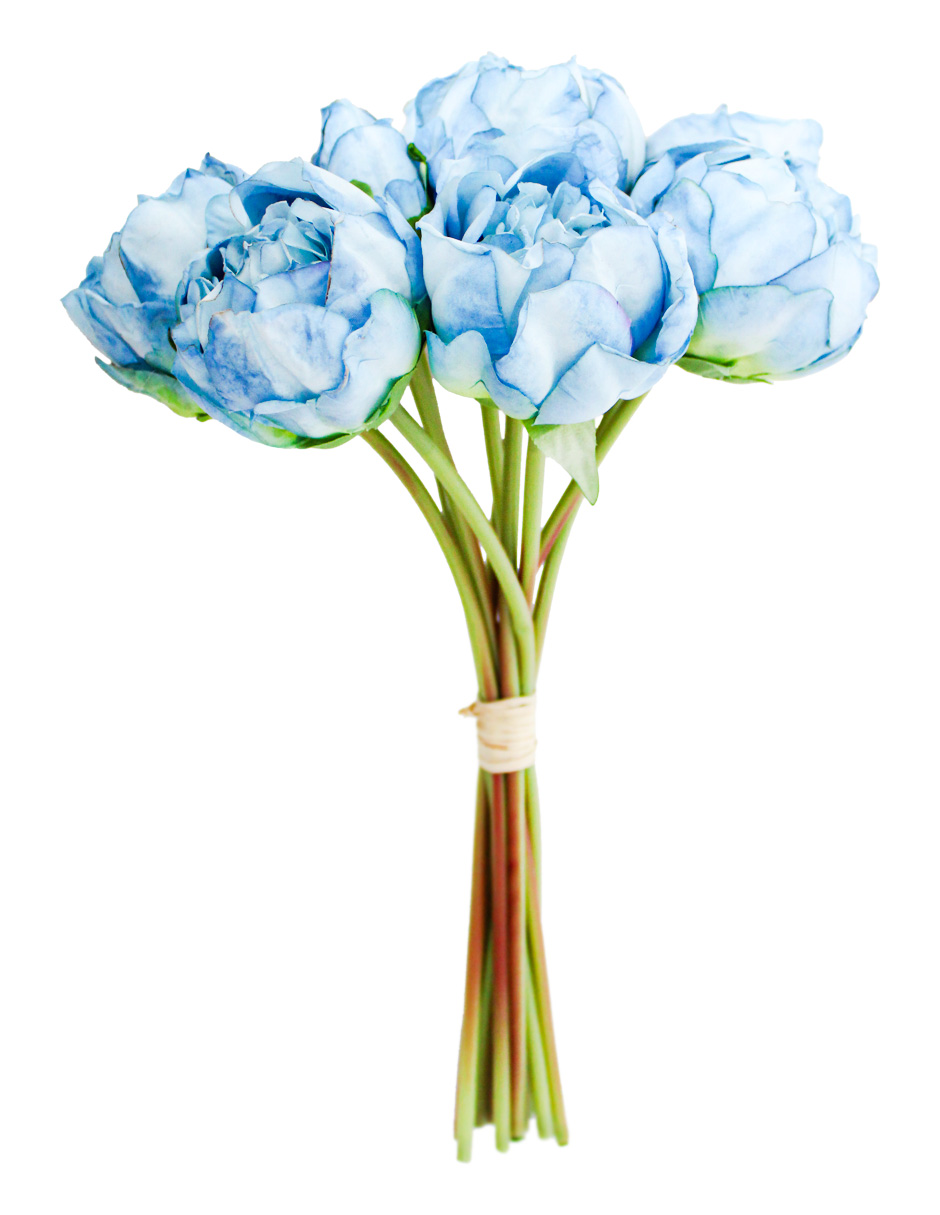 302001736083-galerias el triunfo