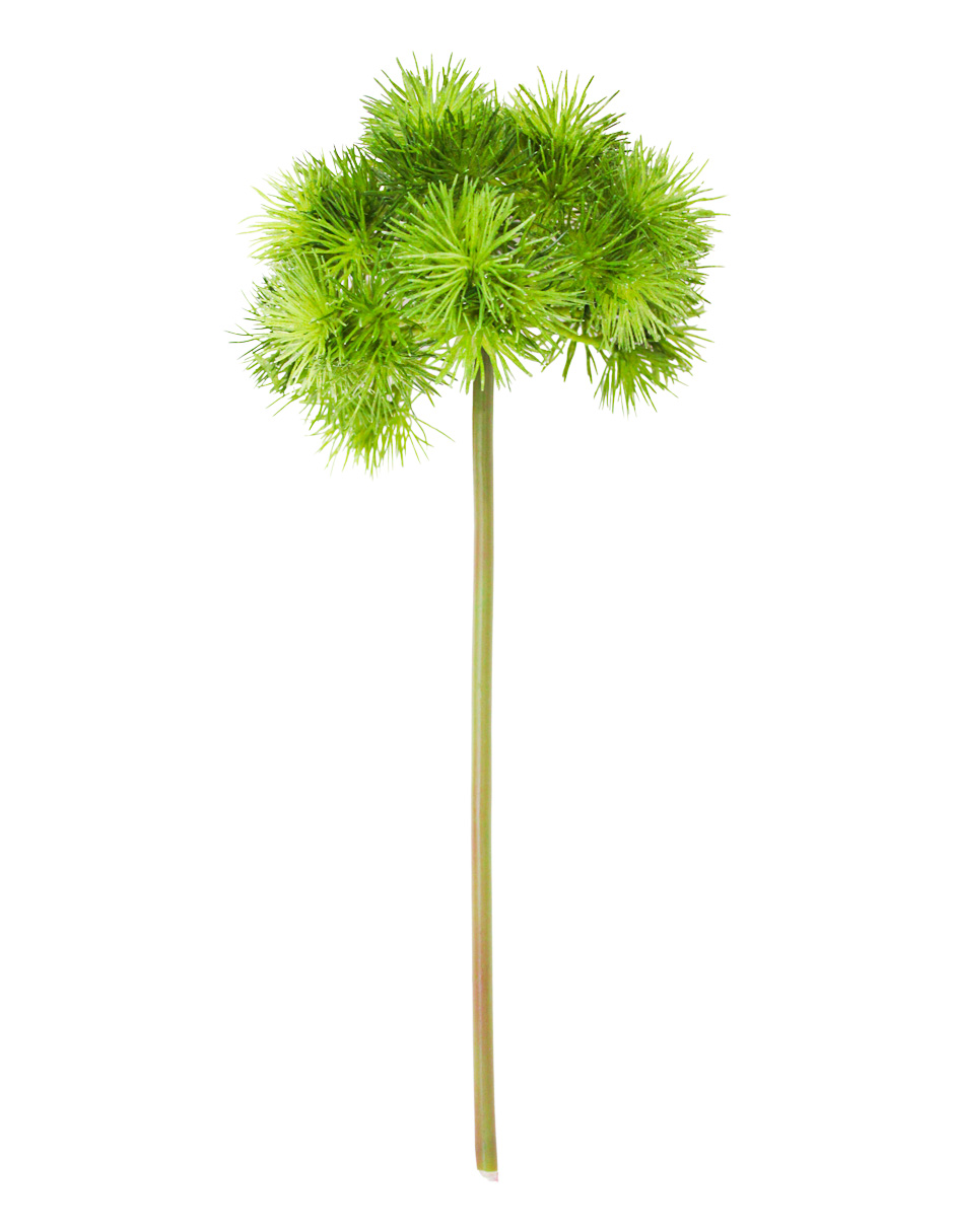 302001736091-galerias el triunfo