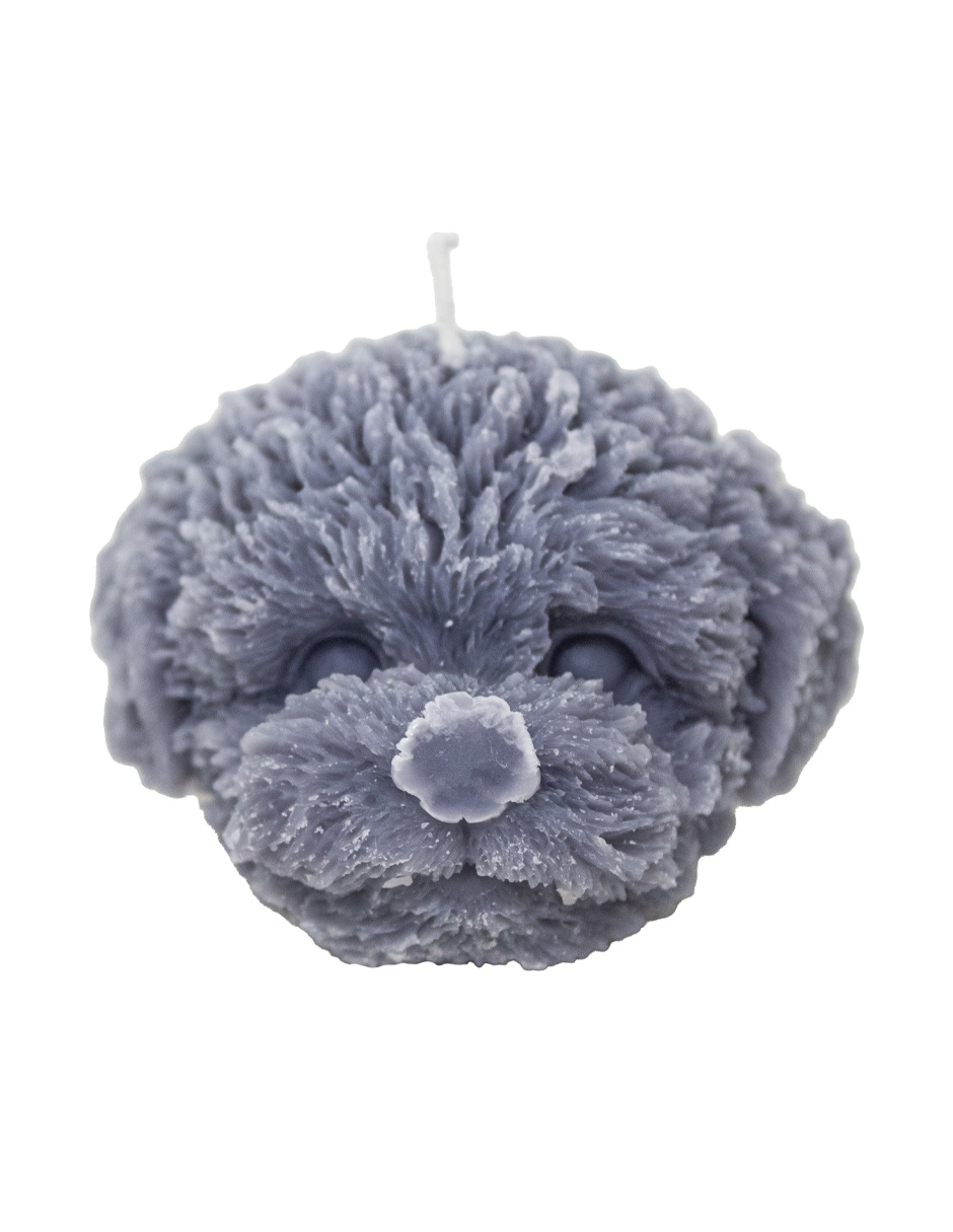 302001736213-galerias el triunfo