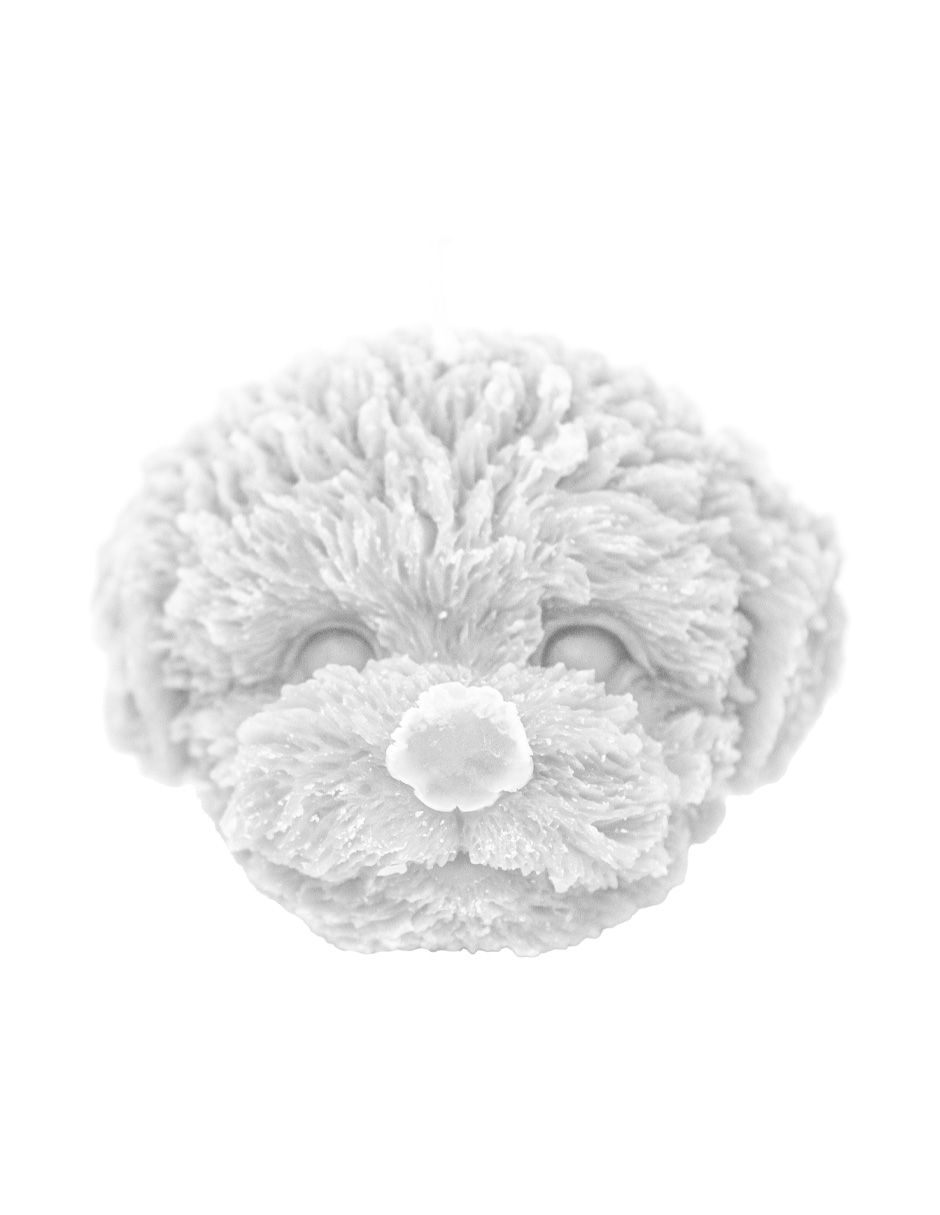 302001736214-galerias el triunfo