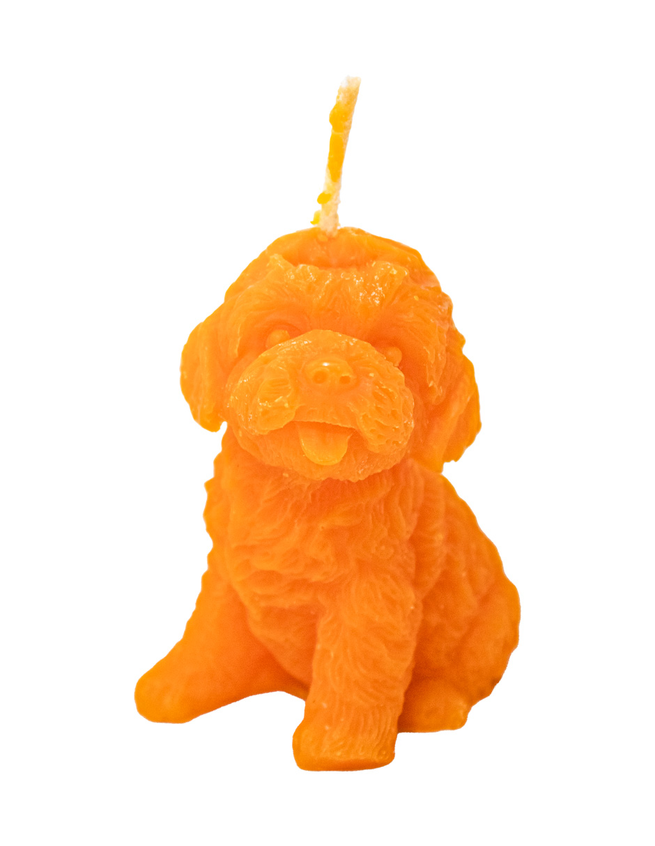 302001736234-galerias el triunfo