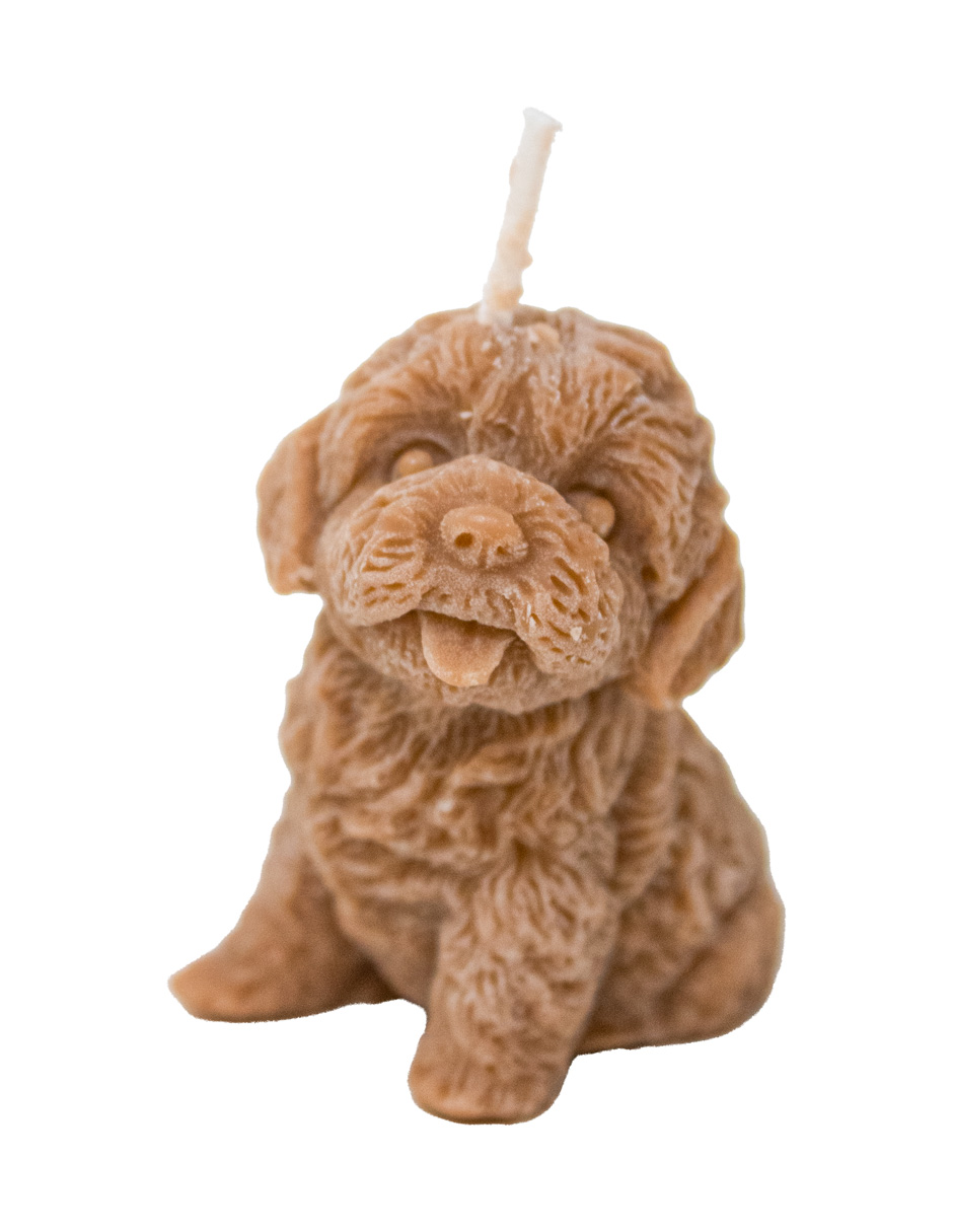 302001736235-galerias el triunfo