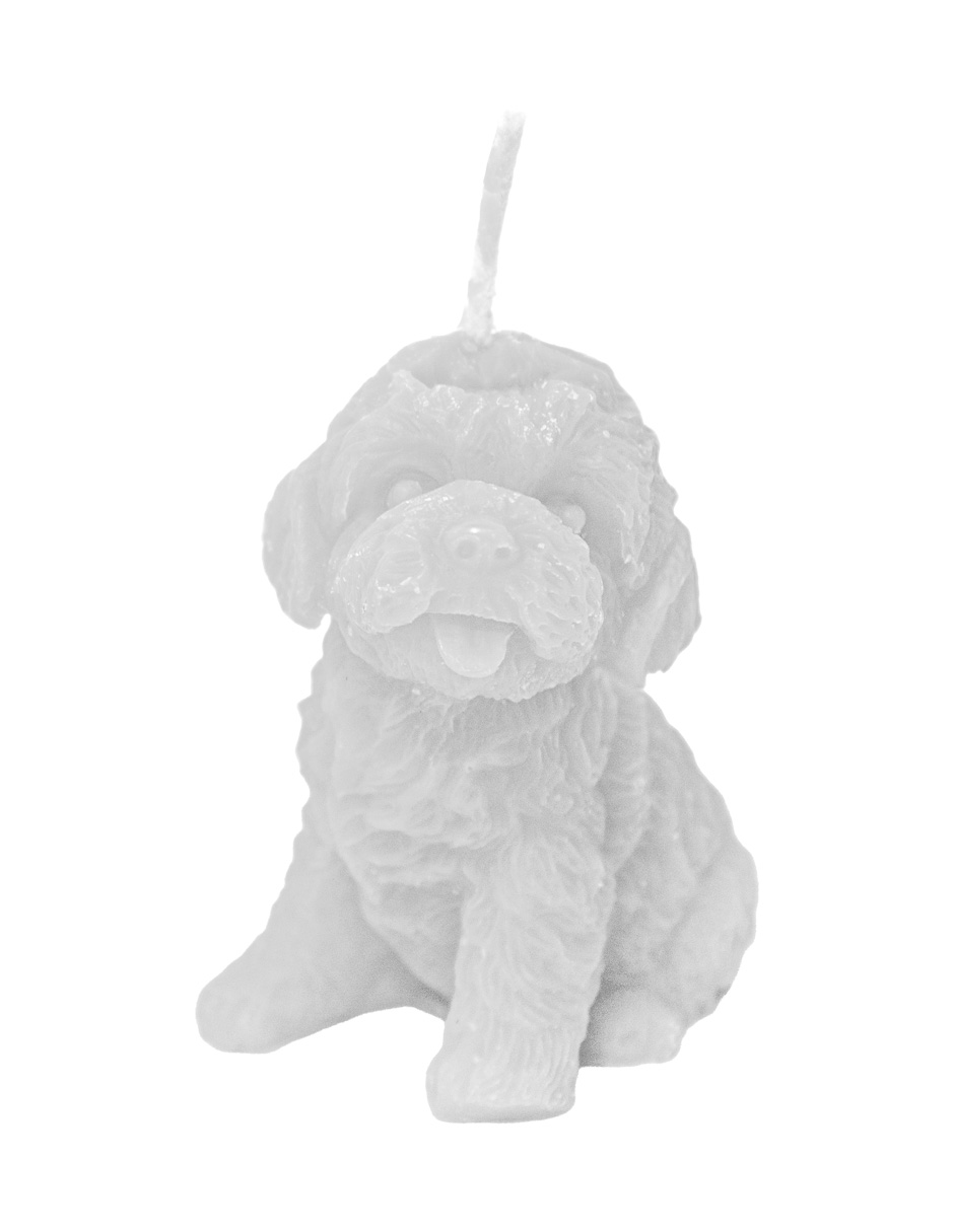 302001736236-galerias el triunfo