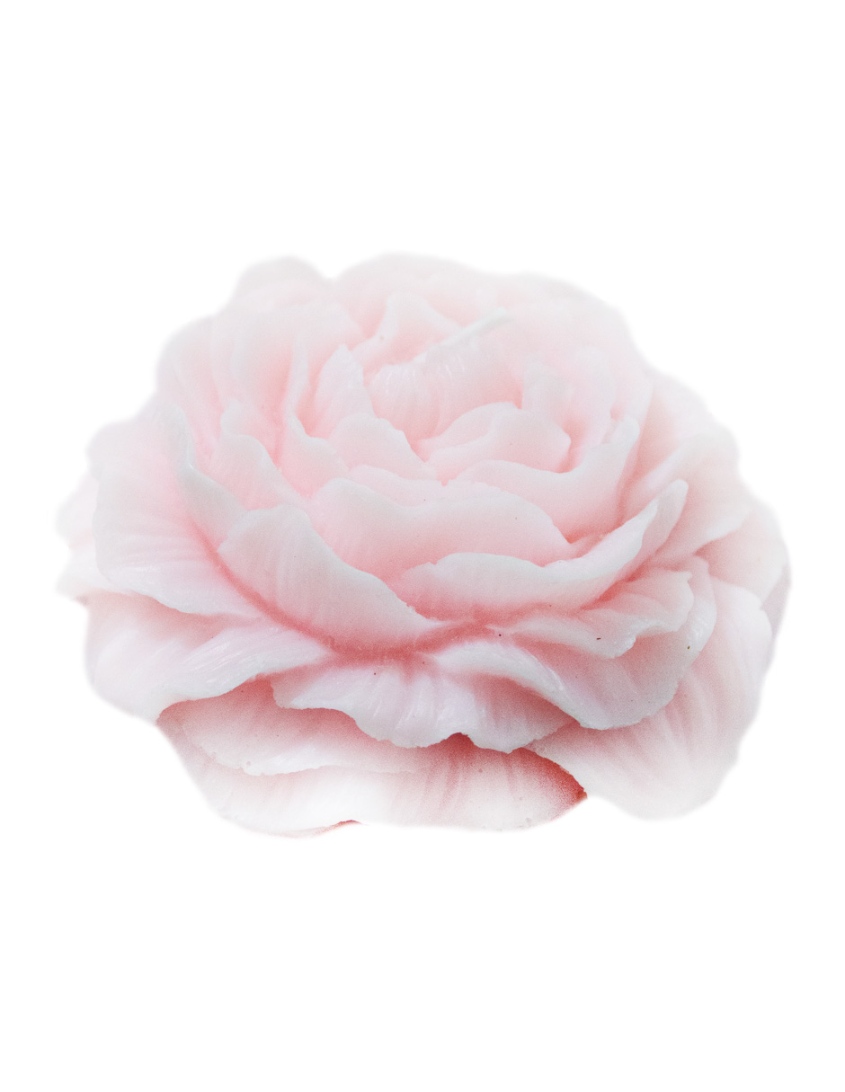 302001736252-galerias el triunfo