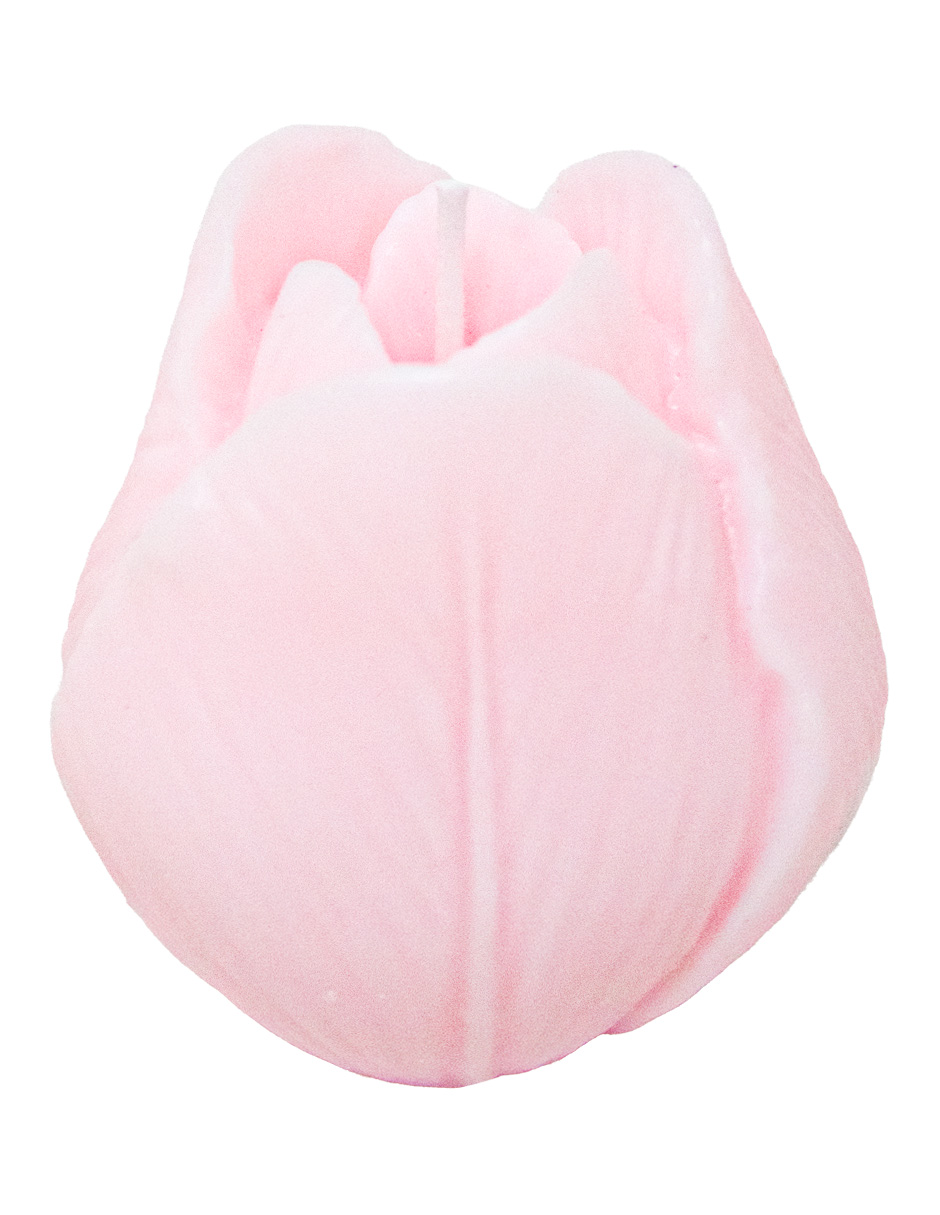 302001736258-galerias el triunfo