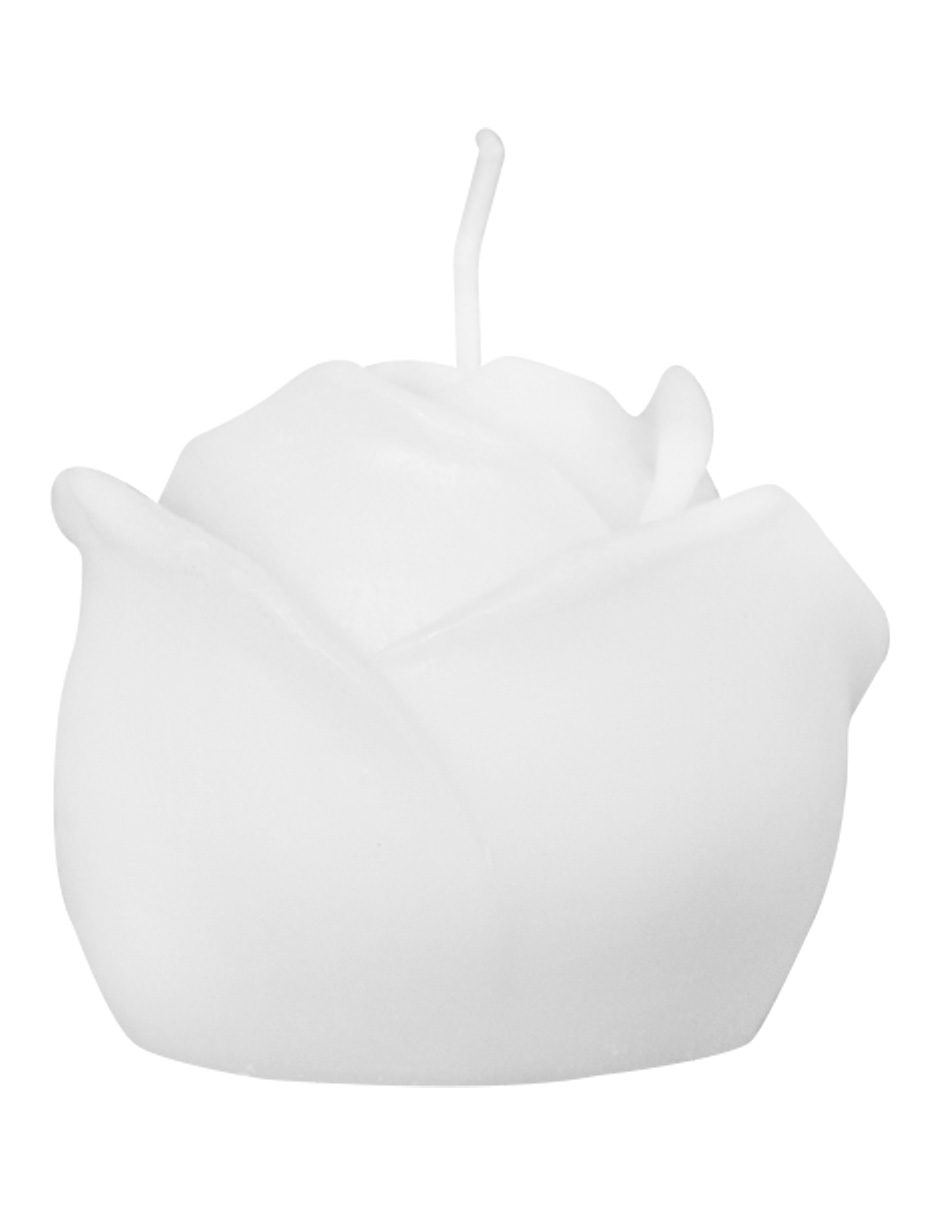 302001736269-galerias el triunfo