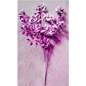 291001736308-galerias el triunfo