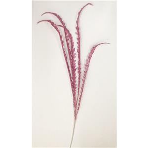 291001736316-galerias el triunfo