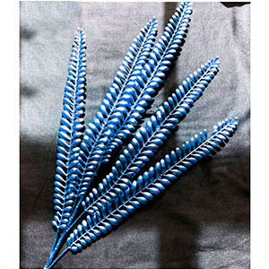 291001736350-galerias el triunfo