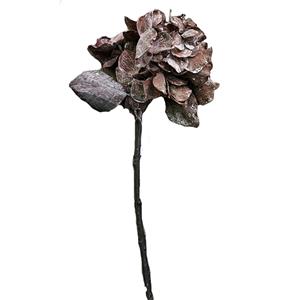 291001736444-galerias el triunfo