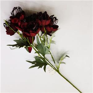 291001736536-galerias el triunfo