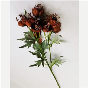 291001736537-galerias el triunfo