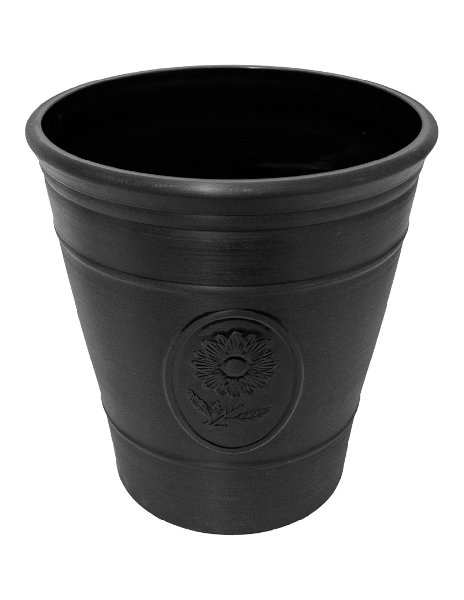 303001736155-galerias el triunfo