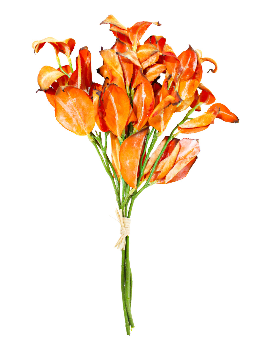 301001736898-galerias el triunfo