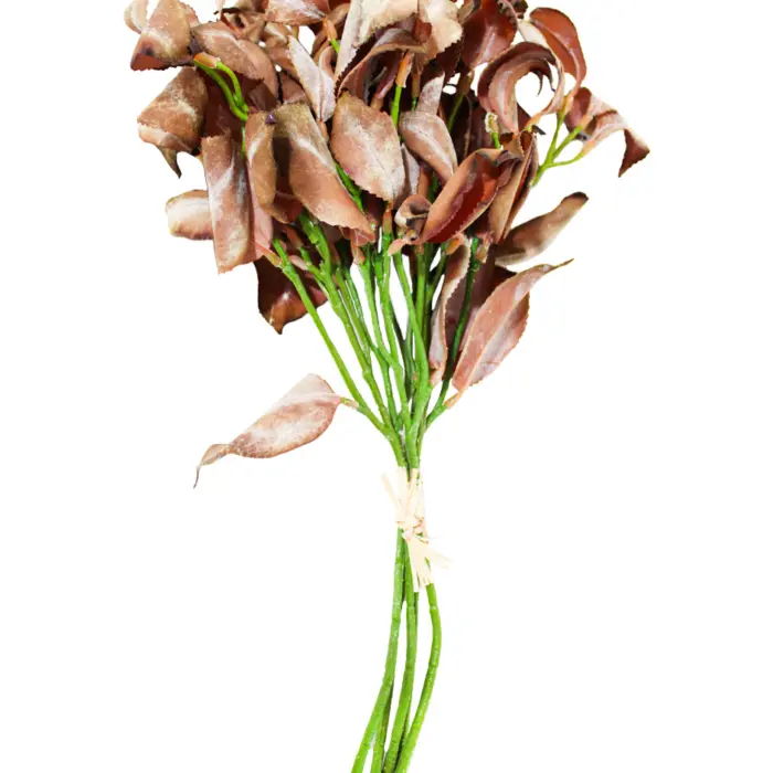 301001736899-galerias el triunfo