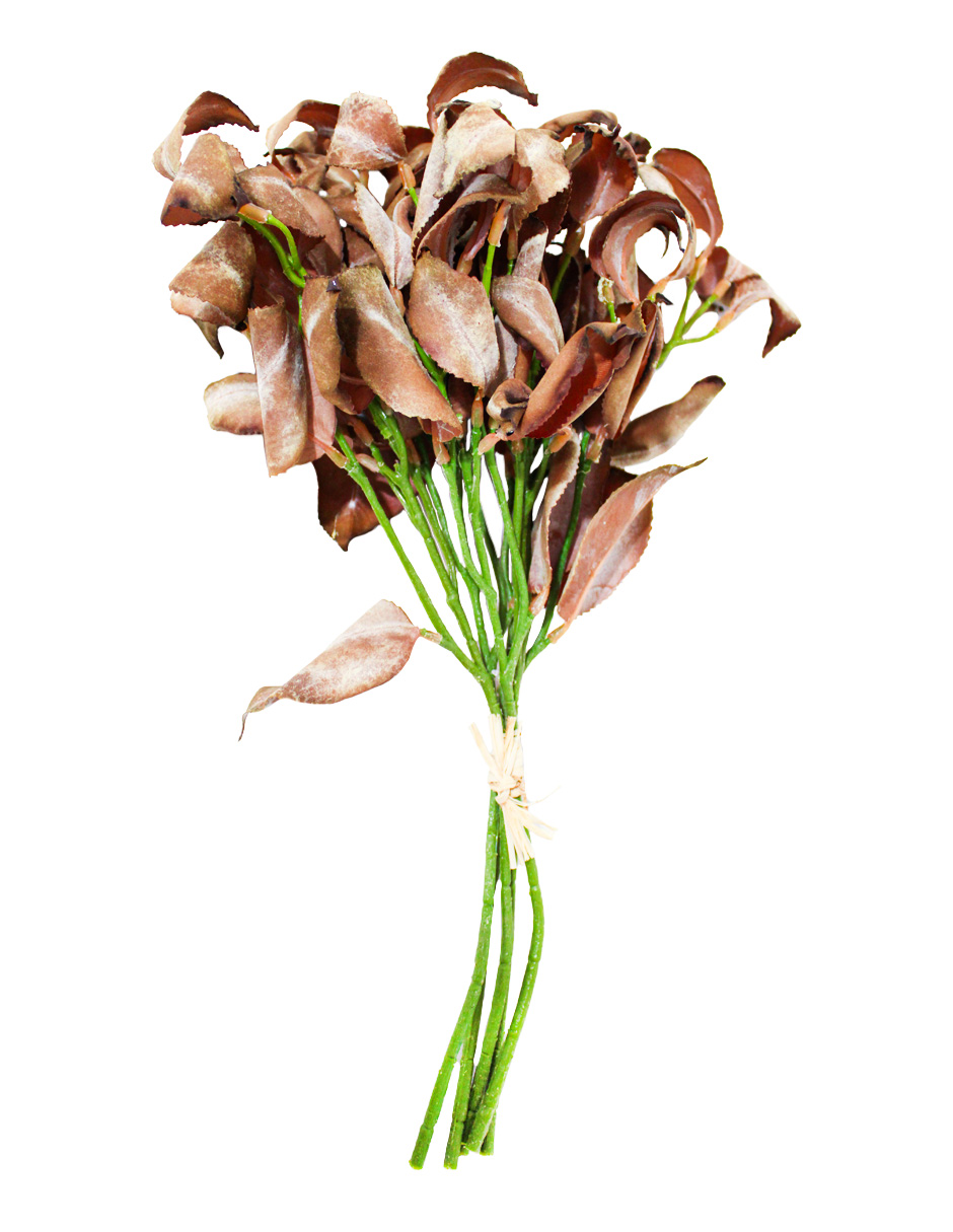 301001736899-galerias el triunfo