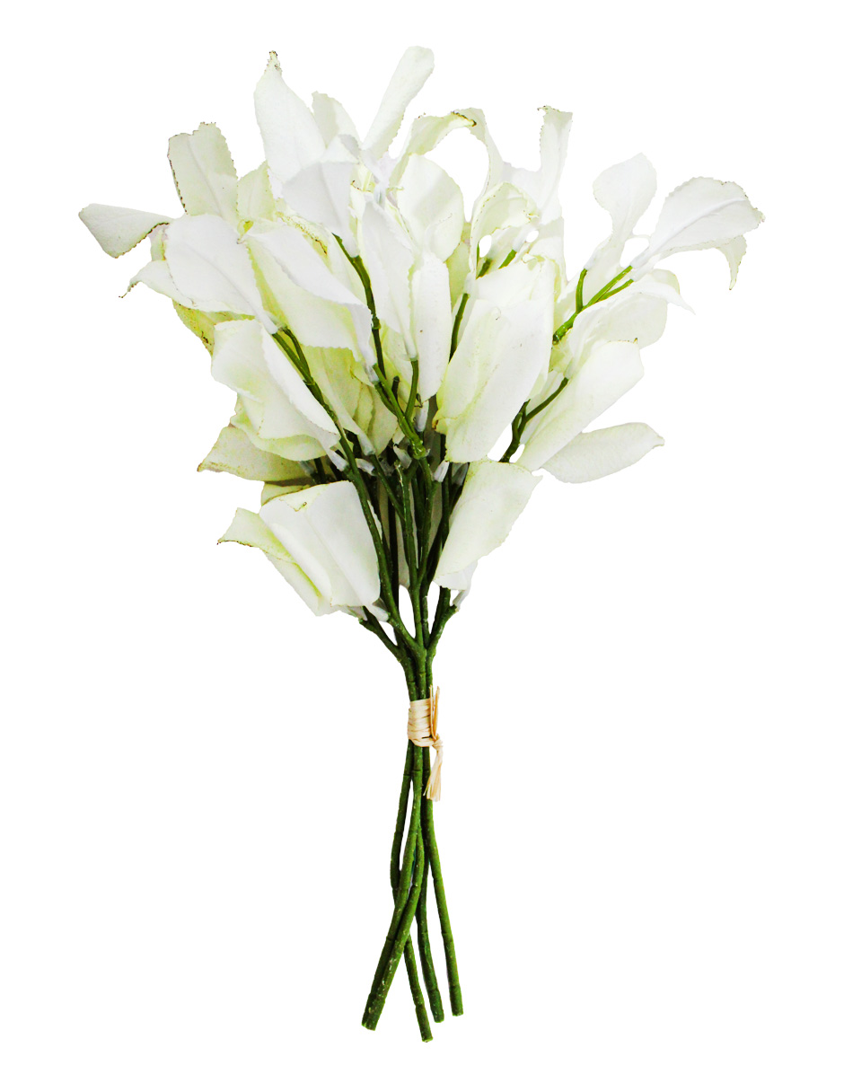 301001736902-galerias el triunfo