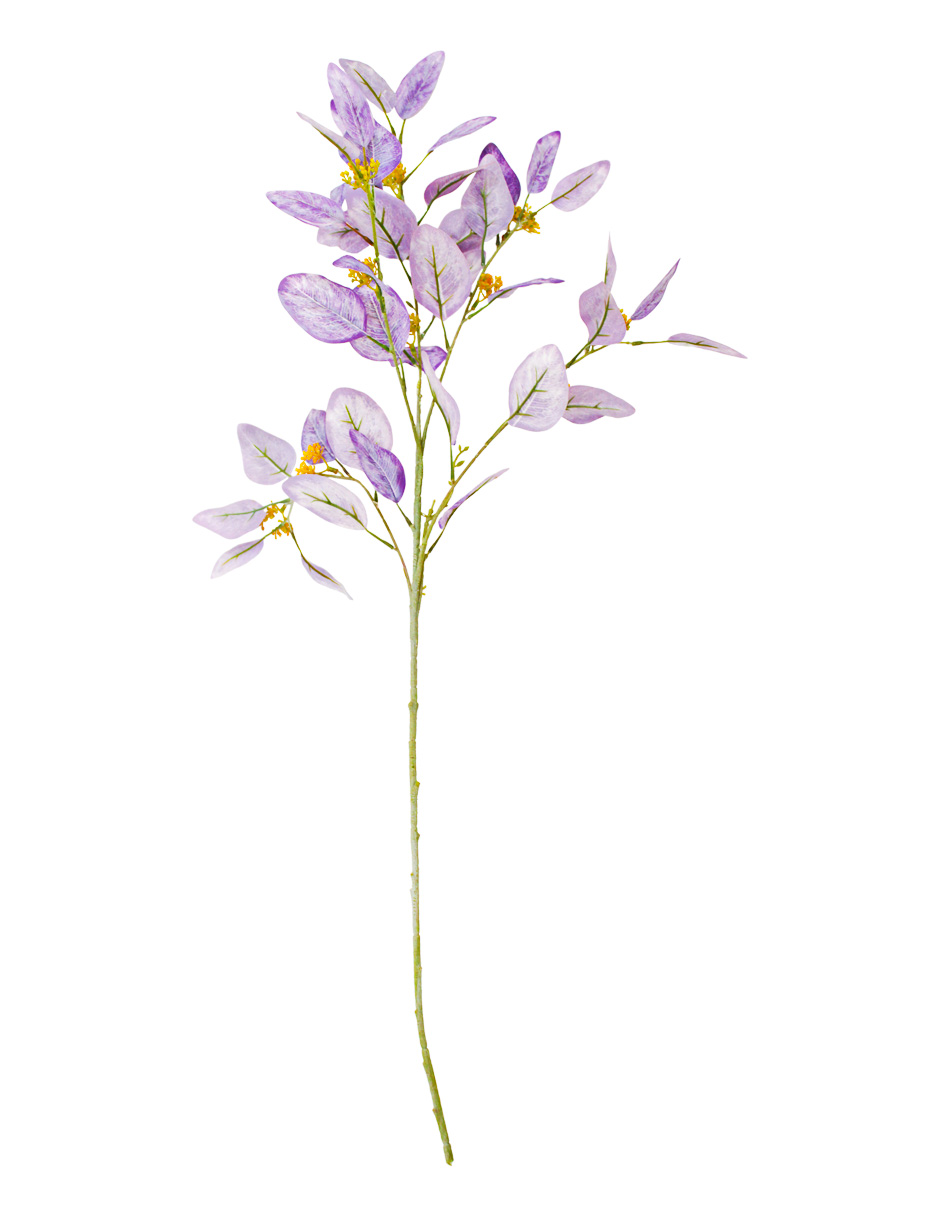 301001736977-galerias el triunfo