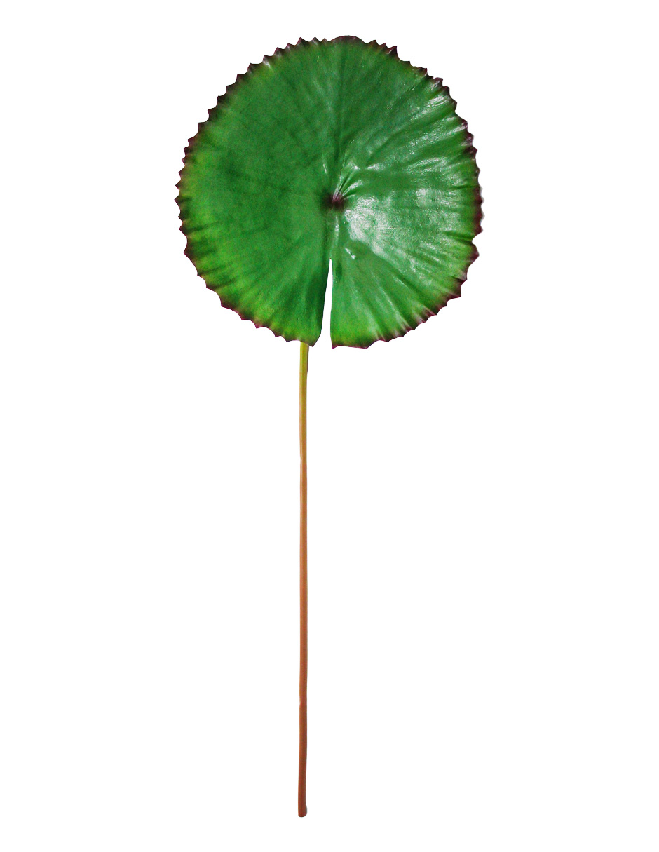 302001736023-galerias el triunfo