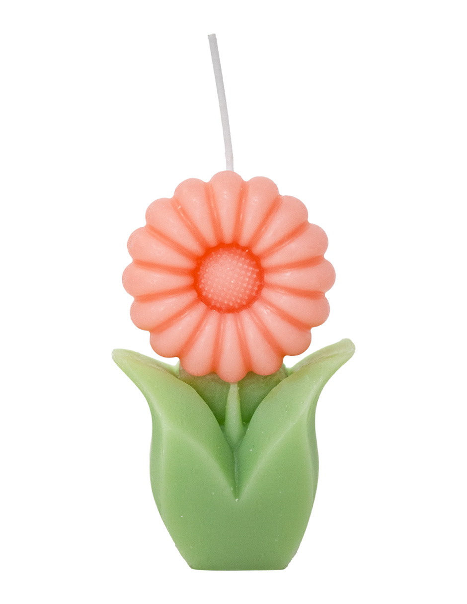 302001736191-galerias el triunfo