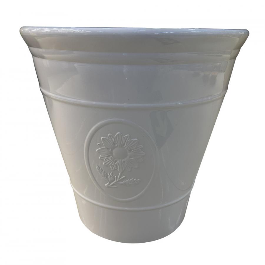 303001736156-galerias el triunfo