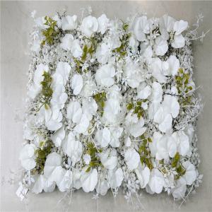 303001736326-galerias el triunfo