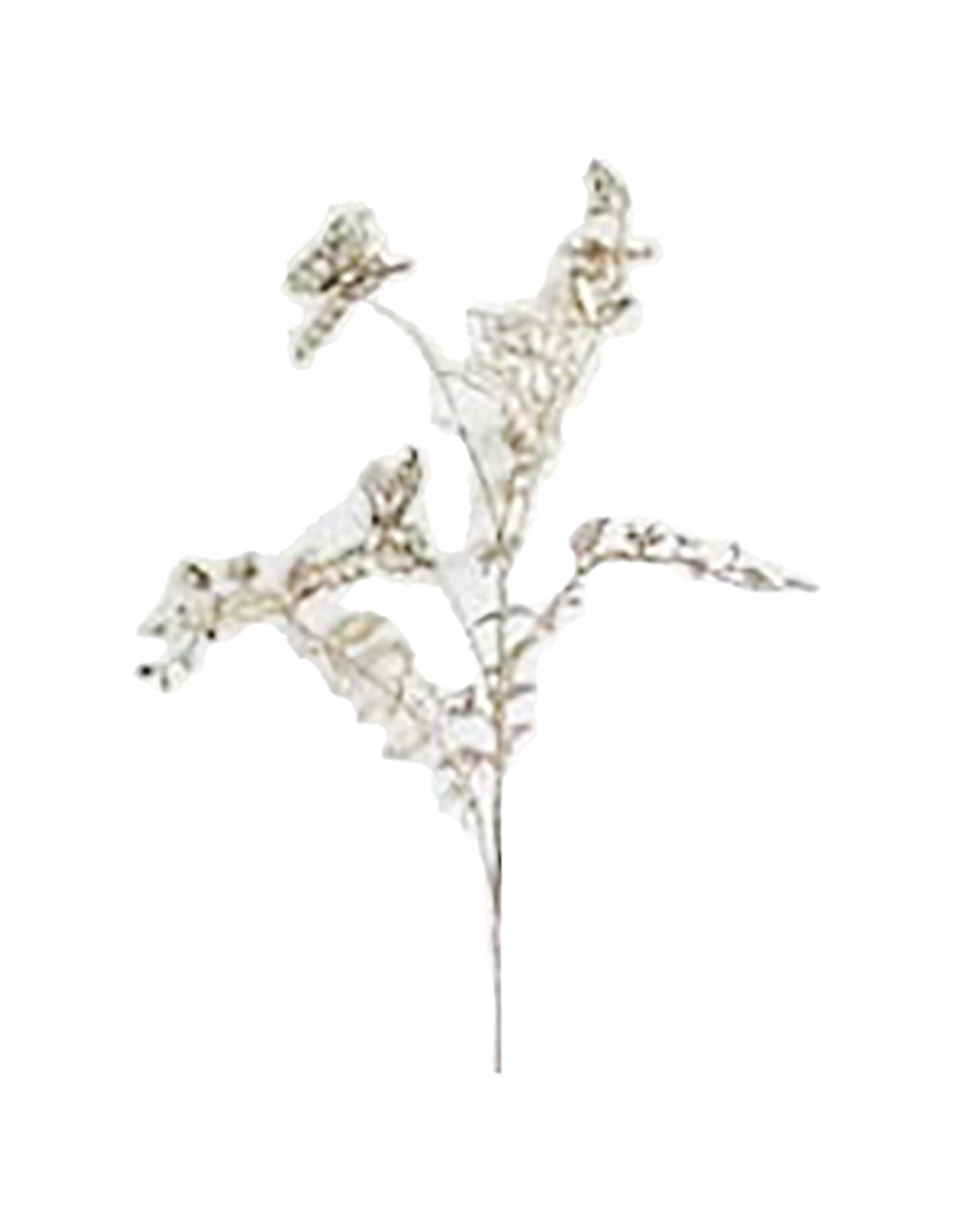 022032546109-galerias el triunfo