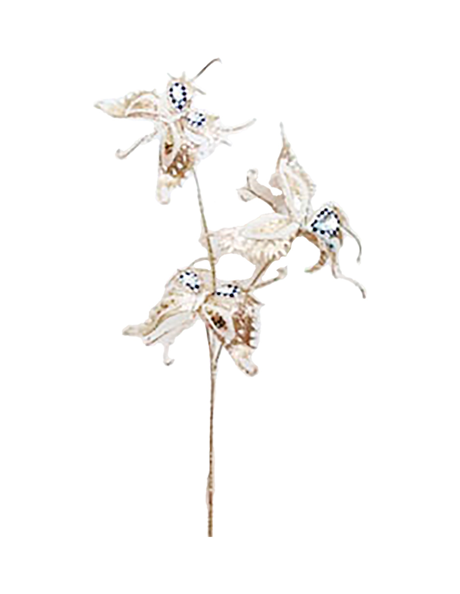 022032546210-galerias el triunfo