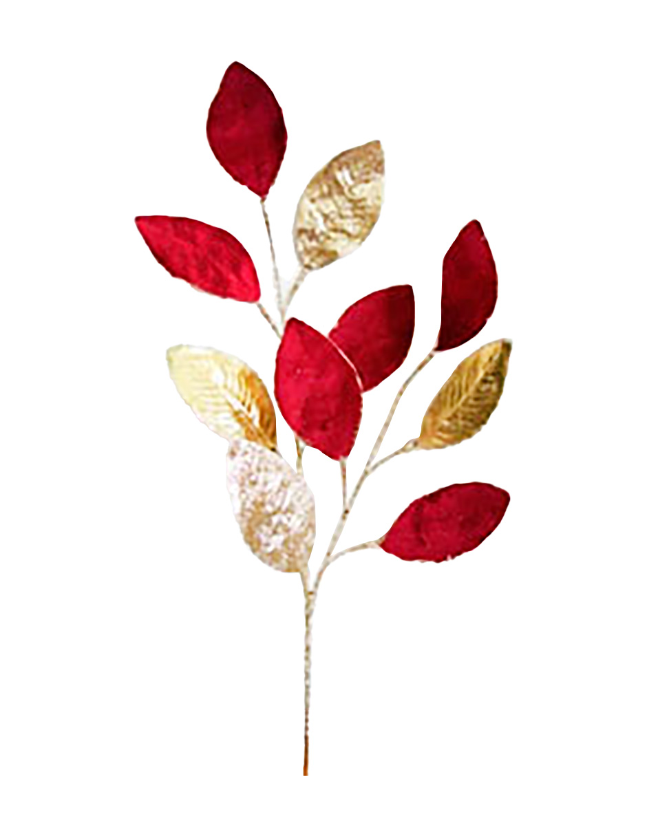 022032546235-galerias el triunfo