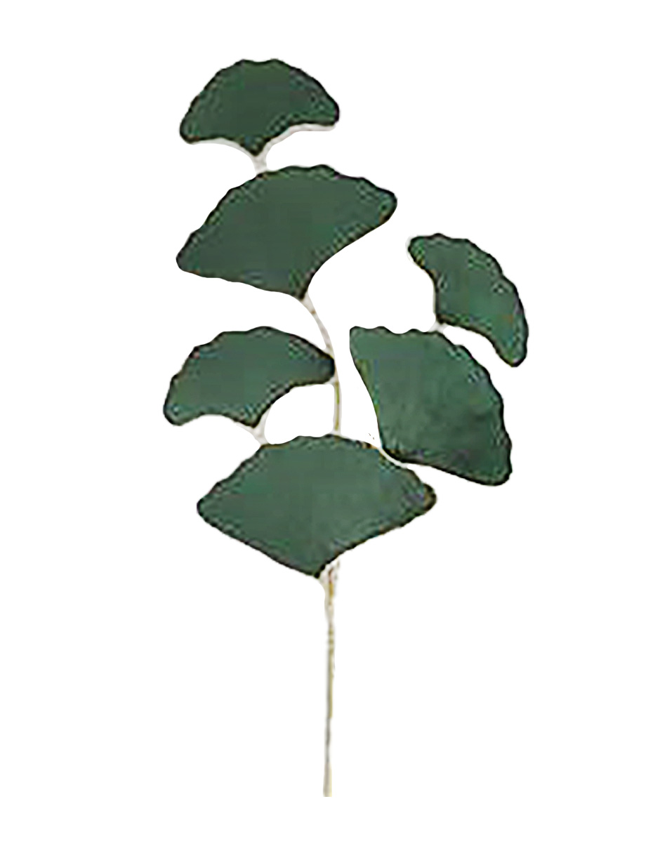 022032546339-galerias el triunfo