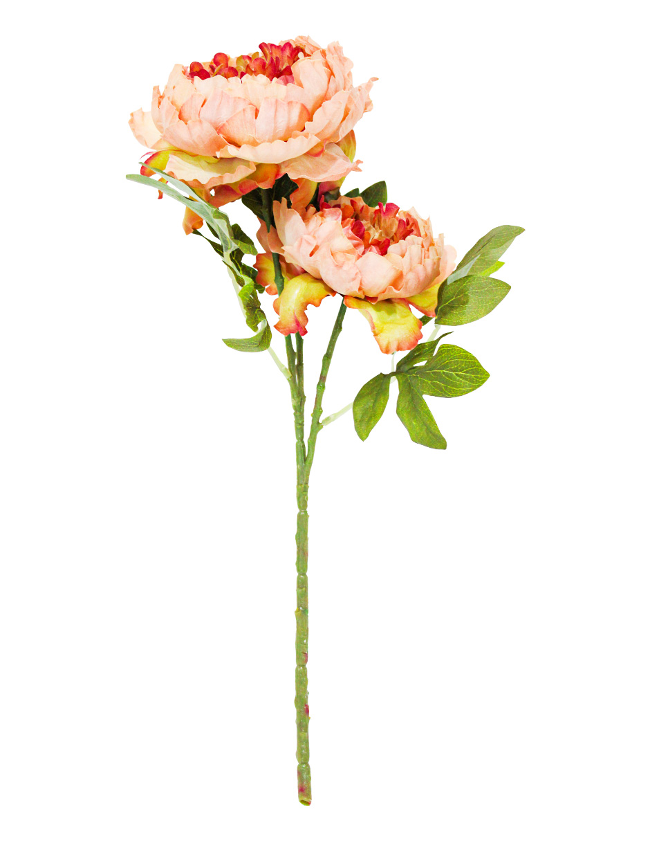 022032746223-galerias el triunfo