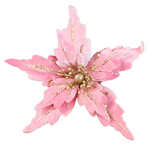 022032779057-galerias el triunfo