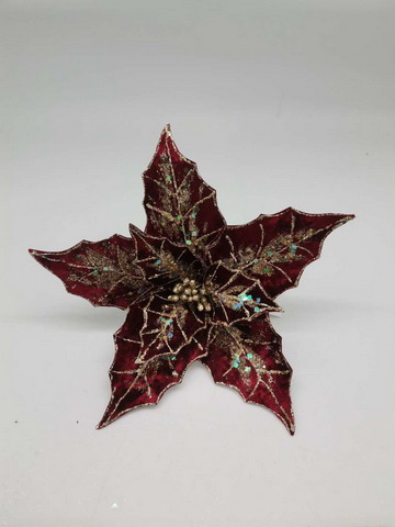 022032779066-galerias el triunfo