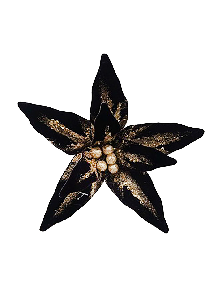 022032779069-galerias el triunfo