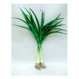 028071005053-galerias el triunfo