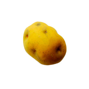 028071005135-galerias el triunfo