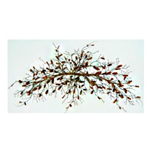 040907904391-galerias el triunfo