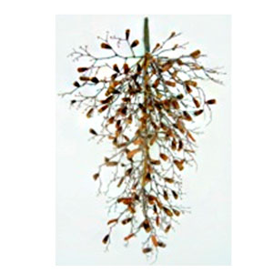 040907904392-galerias el triunfo