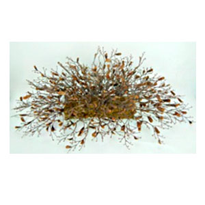 040907904393-galerias el triunfo