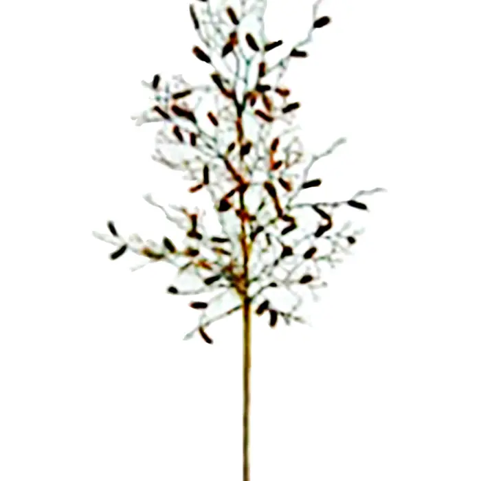 040907904394-galerias el triunfo