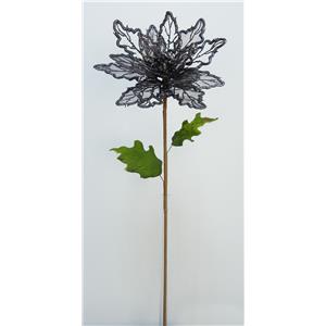 040907904425-galerias el triunfo