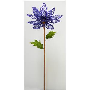 040907904426-galerias el triunfo