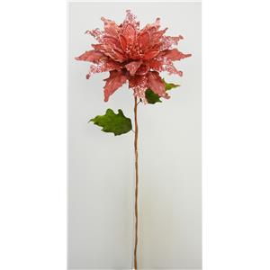 040907904428-galerias el triunfo