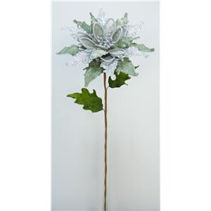 040907904430-galerias el triunfo