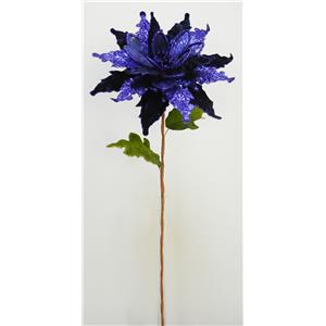 040907904431-galerias el triunfo