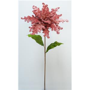 040907904433-galerias el triunfo