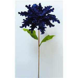 040907904434-galerias el triunfo