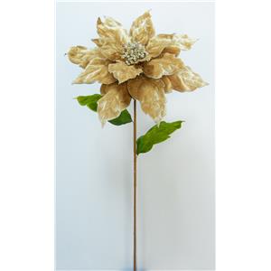 040907904436-galerias el triunfo